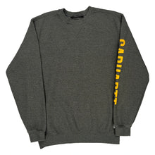  Loose Fit Carhartt Sweatshirt - Medium Grey Cotton Blend