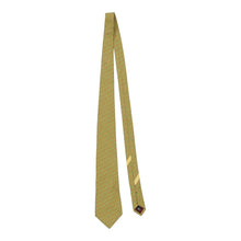  Vintage green Salvatore Ferragamo Tie - mens no size