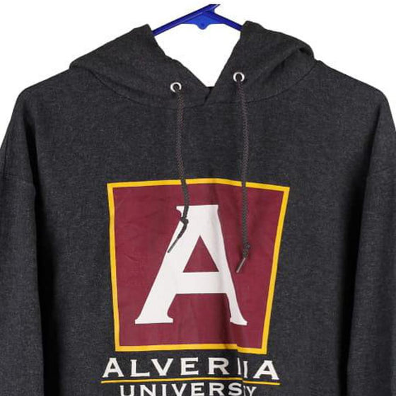 Alveria University Champion College Hoodie - Medium Grey Cotton Blend - Thrifted.com